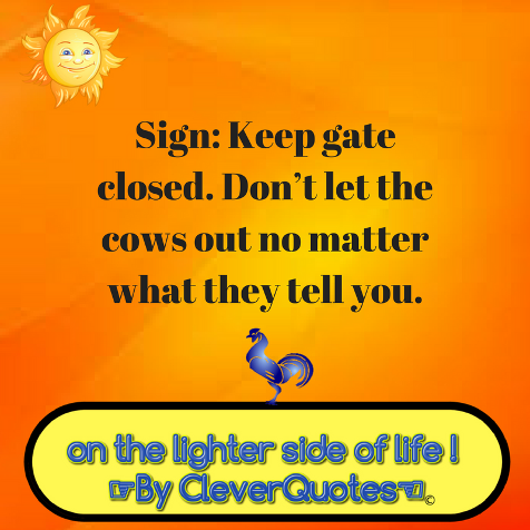 on the lighter side of life | CleverQuotes